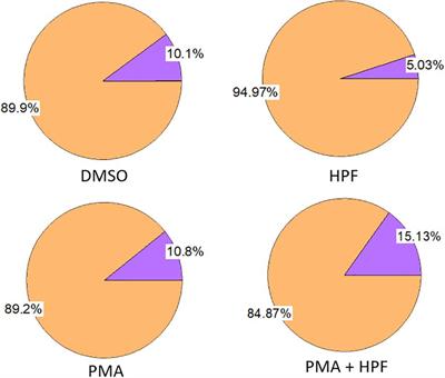 Reactive Oxygen Species Imaging in U937 Cells